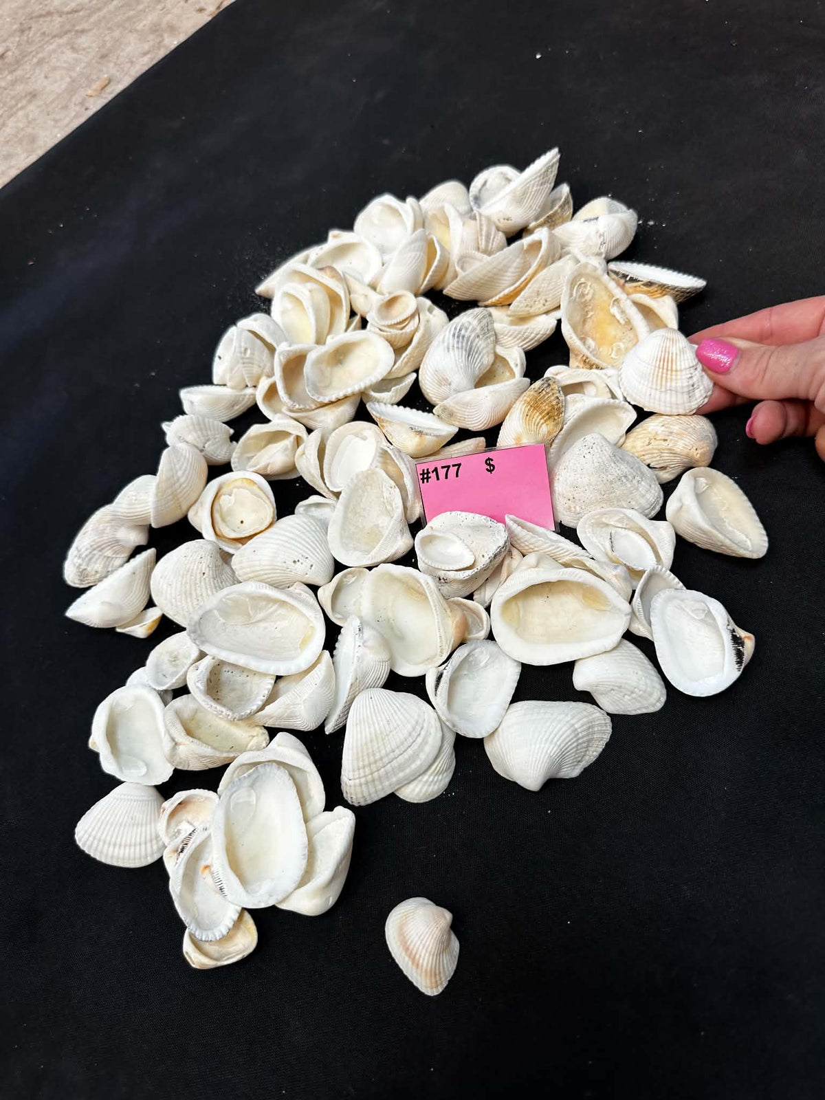 #177 Heart / Basket Cockles Pack