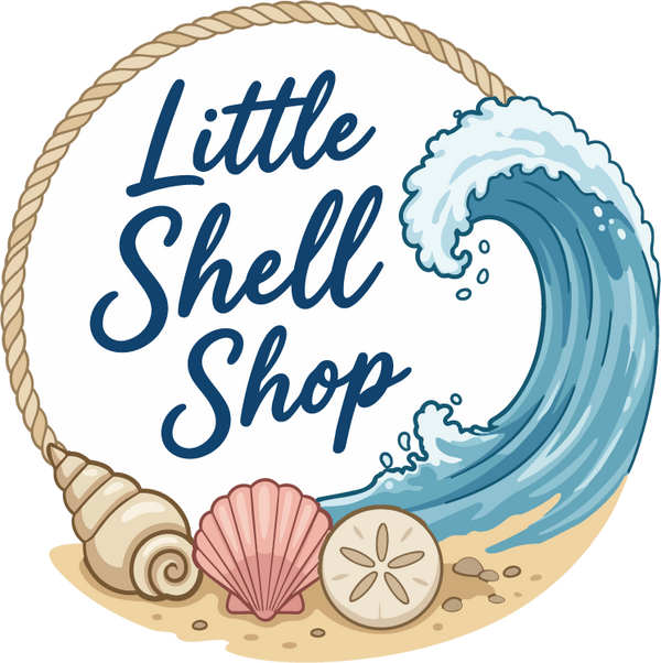 Little Shell Shop